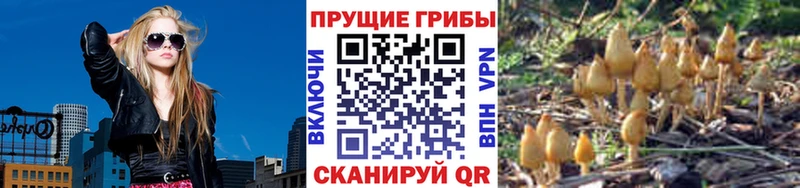 Галлюциногенные грибы ЛСД  Талица 
